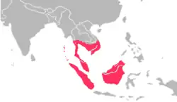 Areál rozšíření