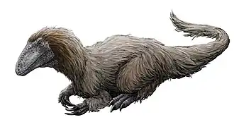 popis obrázku chybí