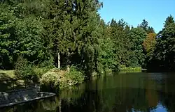 Vodovodní rybník v Týnském údolí