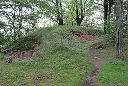 zbytky hradiště na Třemšíně (2011)