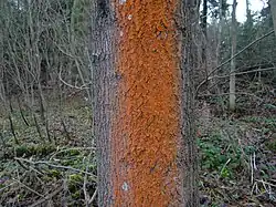 alternativní popis obrázku chybí