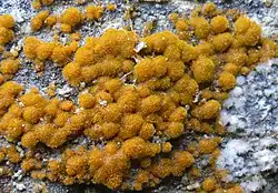 alternativní popis obrázku chybí