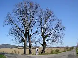 Trestina bozi muka 14042007.JPG