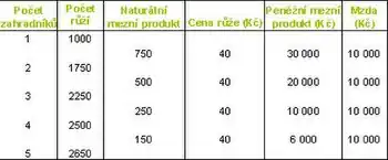 Příklad trhu práce