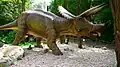 Triceratops, DinoPark Bratislava