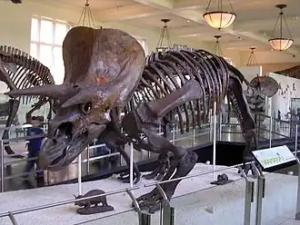 alternativní popis obrázku chybí