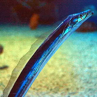 alternativní popis obrázku chybí