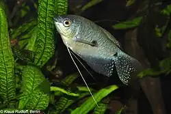 alternativní popis obrázku chybí