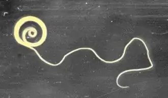 alternativní popis obrázku chybí