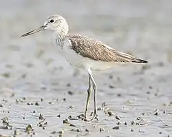 alternativní popis obrázku chybí