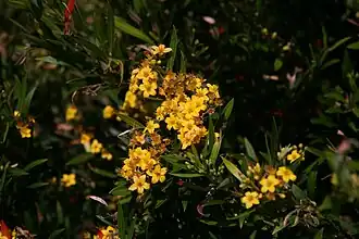 alternativní popis obrázku chybí