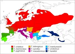 Rozšíření čolků