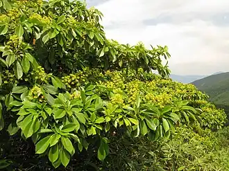 alternativní popis obrázku chybí