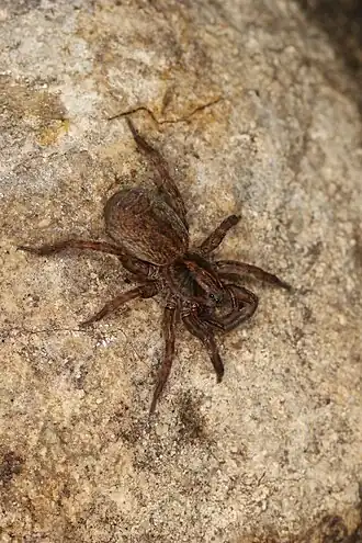 alternativní popis obrázku chybí