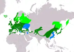 Areál rozšíření