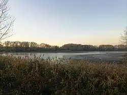 Troskotovický dolní rybník na Miroslavce