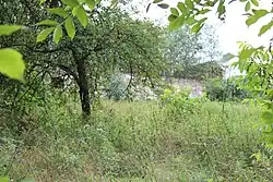 Zdejší zbořeniště