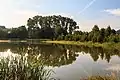 Pohled na Trucovný rybník u Přívratu