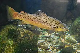 alternativní popis obrázku chybí