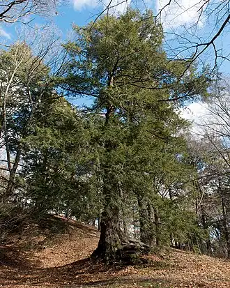 alternativní popis obrázku chybí