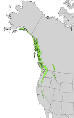 Areál rozšíření