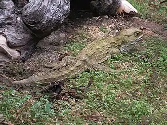 alternativní popis obrázku chybí