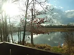 Přírodní památka Záplavy