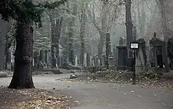 Olšanské hřbitovy, (Část IV.; Oddělení 6)