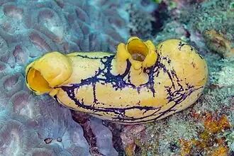 alternativní popis obrázku chybí