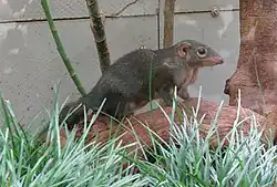 alternativní popis obrázku chybí