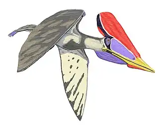 alternativní popis obrázku chybí