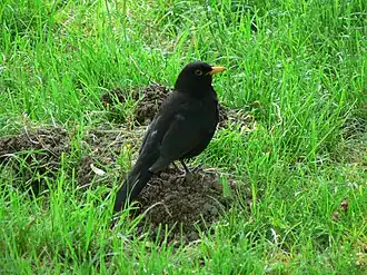 alternativní popis obrázku chybí