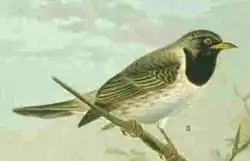 alternativní popis obrázku chybí