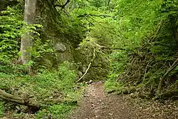 Turistická trasa číslo 2412, Slovensko (Hlbočianska dolina)