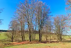 Celkový pohled na tvrziště Žižkův stůl