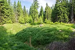 Plošina kde stála tvrz