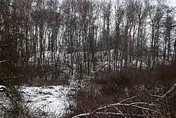 Tvrziště Zámeček - celkový pohled.jpg