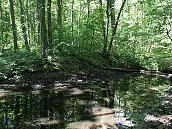 Tvrziště v Kersku - zaniklá vesnice Kří 02.jpg