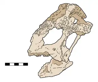 popis obrázku chybí