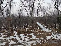 Odbočka k vyhlídce nad jezírkem