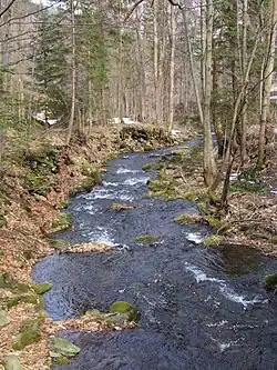 Tyrka v třinecké místní části Tyra