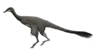 alternativní popis obrázku chybí