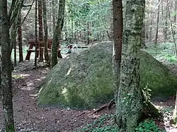 Bludný balvan Tyrelio (Tyrelio akmuo)