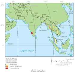 Areál rozšíření