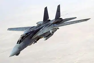 F-14D v oblasti Perského zálivu v roce 2005.