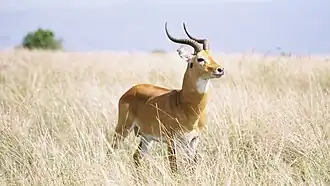 alternativní popis obrázku chybí