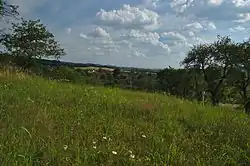 Pohled na vesnici od severu