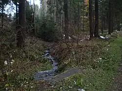 Těchonínský potok v Uhlířském dolu