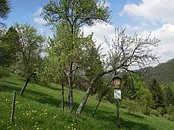 Přírodní památka Uherská