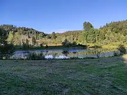 Uhlíkovský rybník